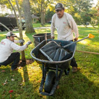 Efficient Maintenance: